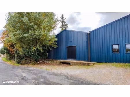 dépôt 100m2 avec quai de chargement et isolation