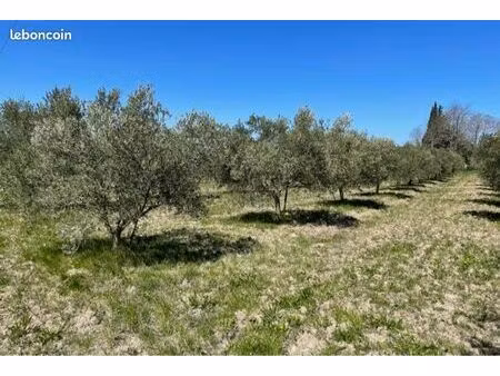 fermage agricole