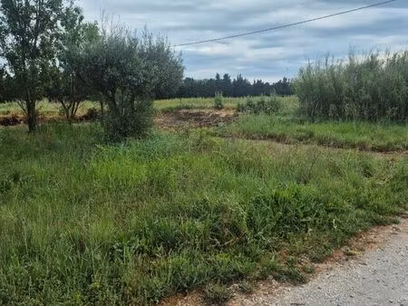 terrain à louer