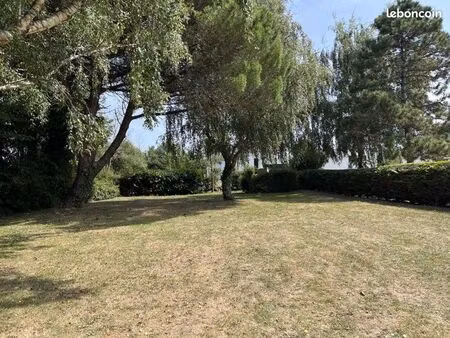 terrain constructible