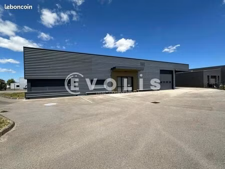 local d'activité 550 m²