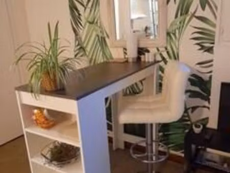 maison1 piece et jardin