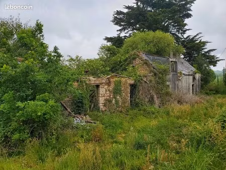 a vendre campagne de tourch 29