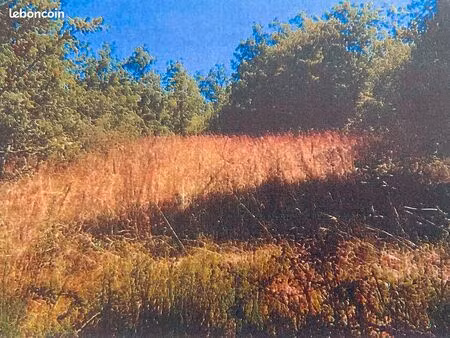 à vendre terrain de 5493m2 a saint andré d’allas