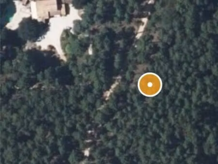 terrain forestier / chasse / autre