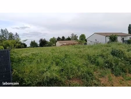 terrain constructible