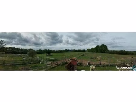 maison avec hectares