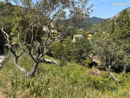 terrain alès
