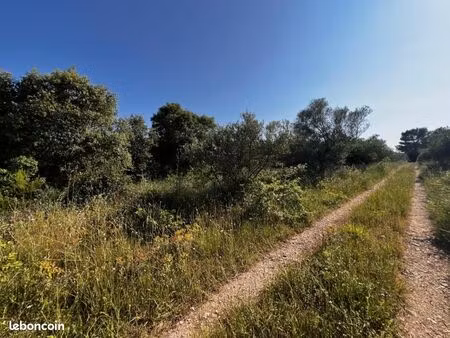 terrain 7 430 m² fontanes