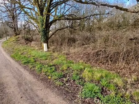 terrain de 5000 m2