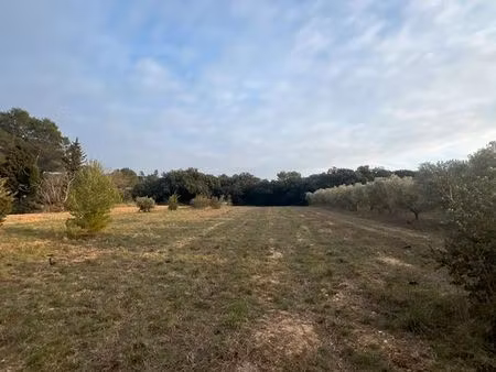 terrain de loisirs – pujaut – 3 632 m²