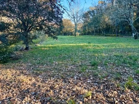 superbe terrain arboré 4 963 m²
