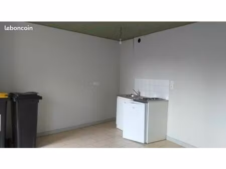 appartement centre 50 m2