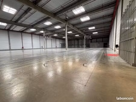 local logistique 20 019 m²