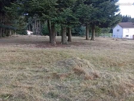 terrain constructible