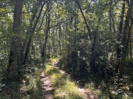 forêt à vendre gers
