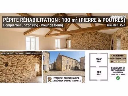 pépite réhabilitation : ensemble de 100 m² (pierre & poutres)