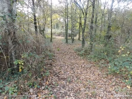 terrain de loisirs