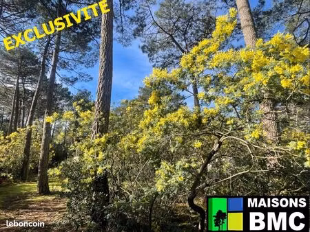 forêt 753 m² lacanau