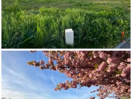terrain 801 m² heudreville sur eure