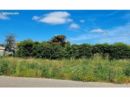 terrain constructible