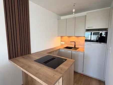 studio rénové 31 m² + parking – frontière suisse à pied