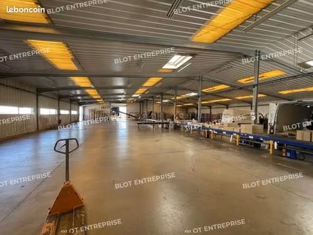 local d'activité 1 350 m²