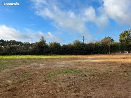 terrain 445 m² dompierre sur yon