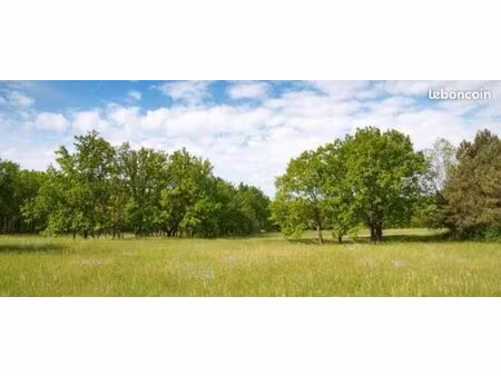 terrain agricole / foret