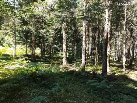 vente immobiliere terrain boisé