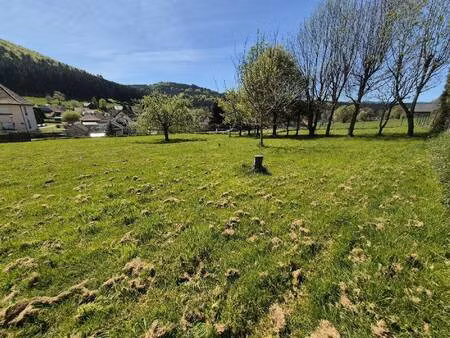 terrain à vendre