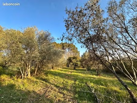 ? rare terrains constructibles 670 m² – plein sud – lorgues – 149 000
