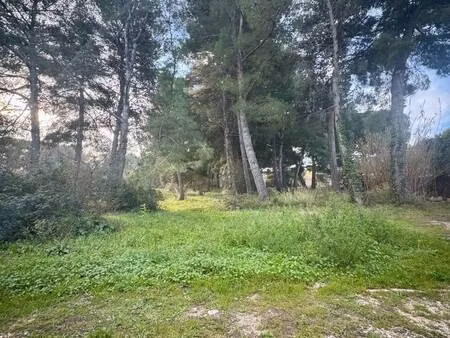 terrain constructible à vendre