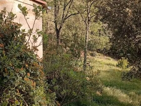 maison jardin