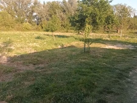 terrain agricole