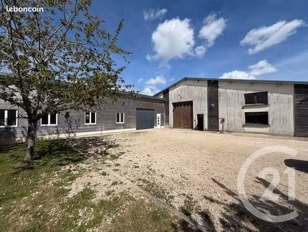 terrain 979 m² amillis