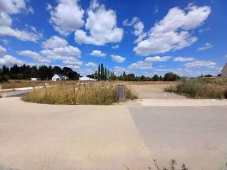 vente terrain à besné (44160) : à vendre / besné