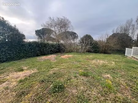 terrain 5' muret