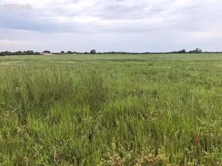 terrain 643 m² lamasquere