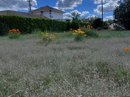terrain à bâtir 500 m² viabilisé – toulenne – proche langon – libre de constructeur