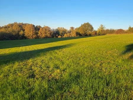 terres agricole