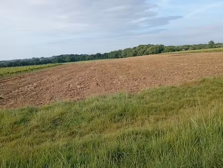 terrain agricole
