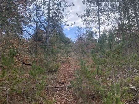 terrain forestier 75795m2
