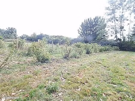 loue terrain