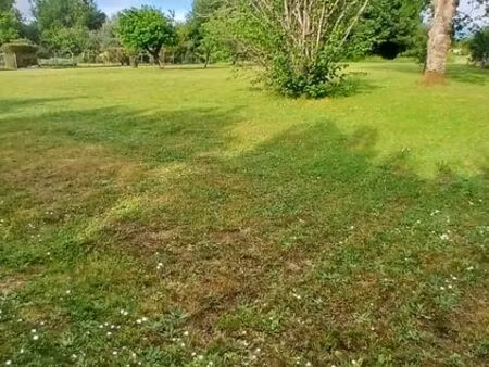terrain à vendre -2000m2-bonzac
