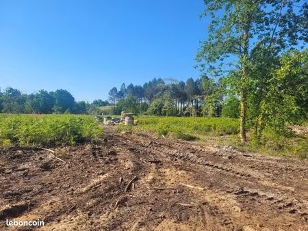 terrain 503 m² salles