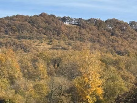 ? terrain agricole boisé 2 5 hectares – roquefort-sur-garonne