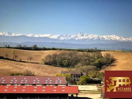 maison de luxe à vendre à gaillac-toulza