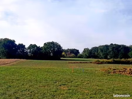 terrain 350 m² verfeil