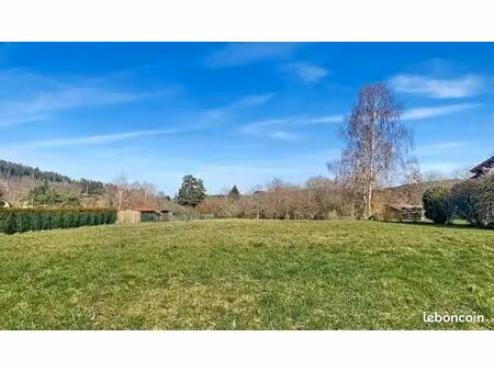 terrain